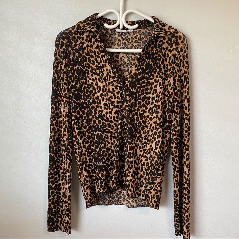 Zara Animal Print